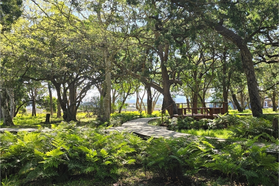 0 Bedroom Property for Sale in Brenton On Lake Western Cape